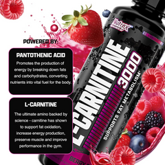 Nutrex Liquid Carnitine 3000