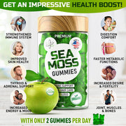 Premium Sea Moss Gummies